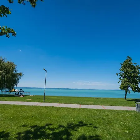 Апартаменты Myflat Wave Studio 36 *